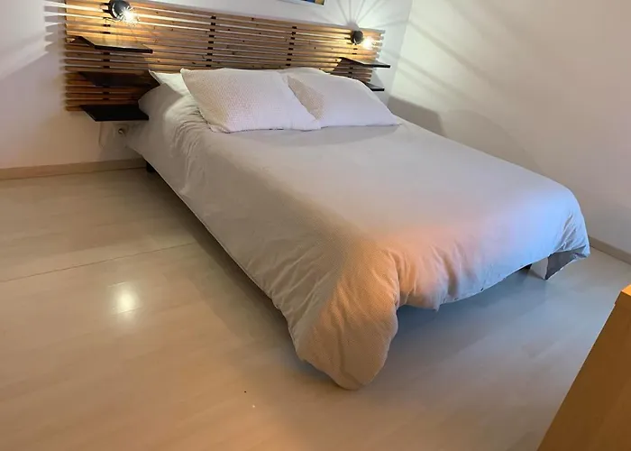 Apartment Le Petit Bruxelles Au Calme Toulouse