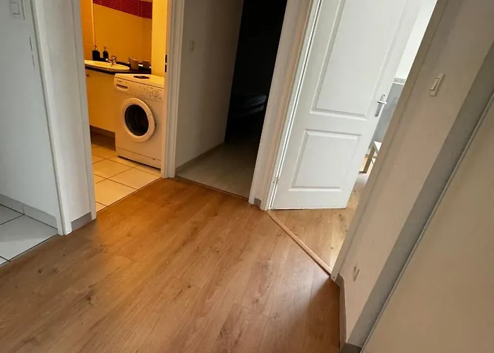 Le Petit Bruxelles Au Calme Toulouse